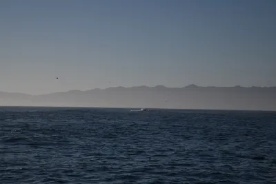 DSC_6640 (Large).JPG